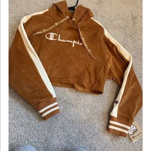 Champion Cropped Hoodie